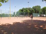 Tenis